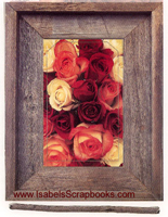 Forget Me Not-Rustic Roses Flash Frames