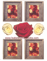 Forget Me Not-Rustic Roses Accents