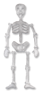 QuicKutz-Skeleton-KS-0186