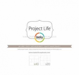 American Craft-Project Life Big Variety Pk2 pg